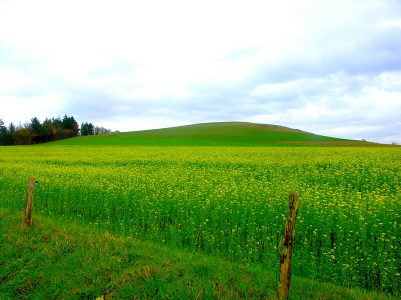 Montchauvet et randonnée pittoresque en Bocage virois - Souleuvre en Bocage (Montchauvet)