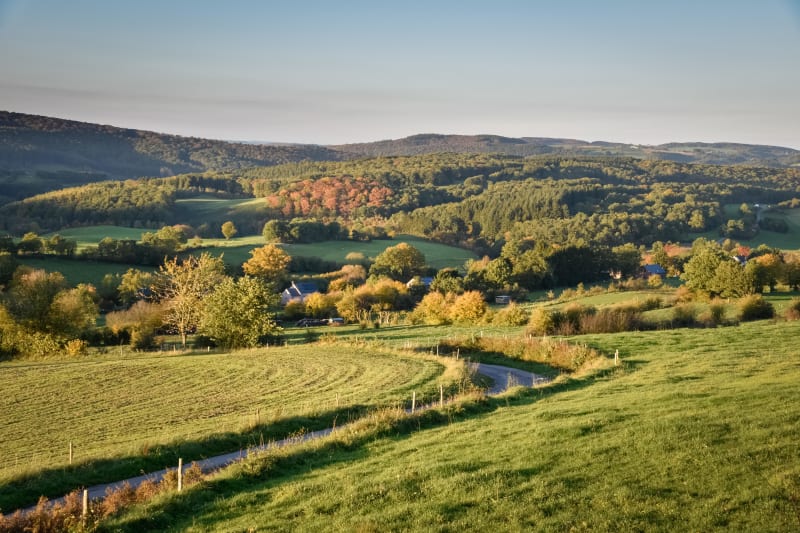 Plein d'oxygène et de vigueur sur les sentiers d'Elan - Elan (commune de Flize)