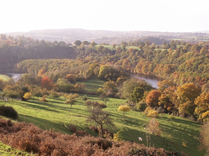 De heuvels van Orne - Saint-Philbert-sur-Orne