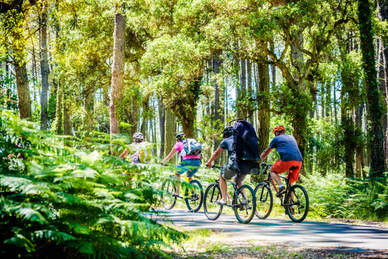 Entre Semnon et forêt, plaisir secret de pédaler - Ercé-en-Lamée