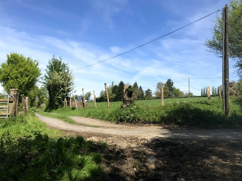 Notre-Dame-de-Courson et trip top dans la vallée de la Touques - Livarot-Pays-d'Auge (Notre-Dame-de-Courson)
