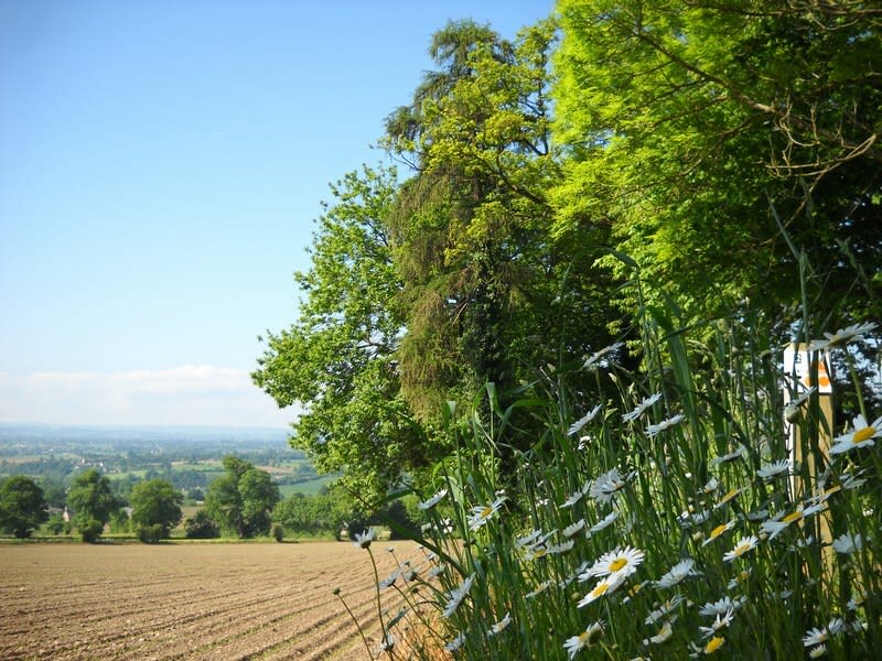 Souleuvre-en-Bocage, entre Vire et feuillage - Carville