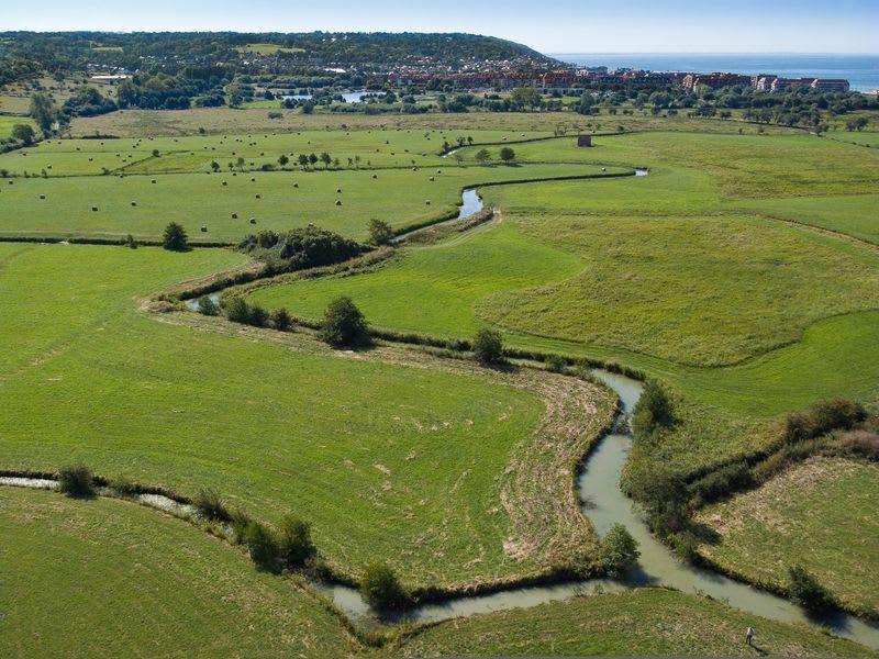 Blonville-sur mer et son marin marais - Blonville-sur-Mer