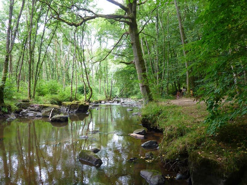 Campagne normande et fraîcheur du ruisseau des Vaux - Saint-Jean-le-Blanc