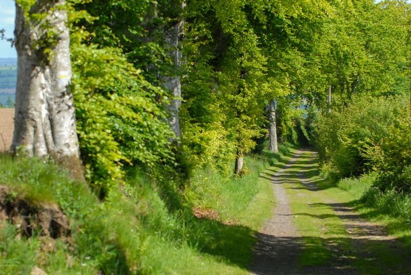 Roullours et virée au top dans le Bocage virois - Vire Normandie (Roullours)