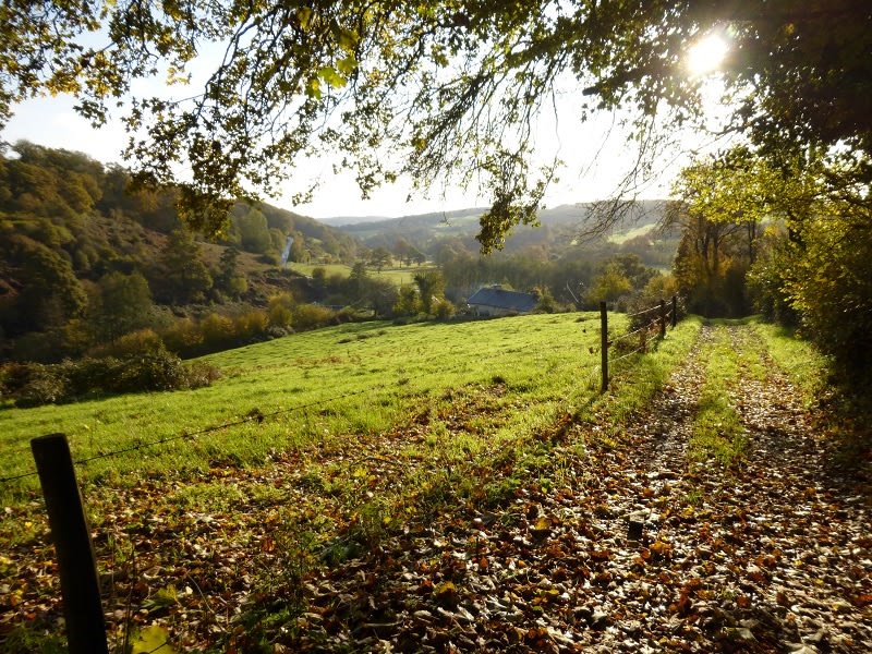 Balade en terres de Druance - Saint-Jean-le-Blanc