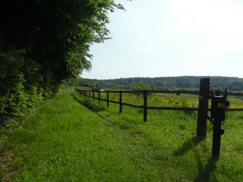 Aux portes du Pays d'Auge - Saint-Pierre-en-Auge (Boissey)