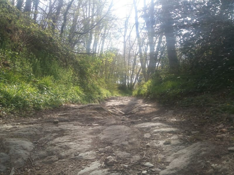 Balleroy-sur-Drôme et virée tip-top dans une nature complice - Balleroy-sur-Drôme