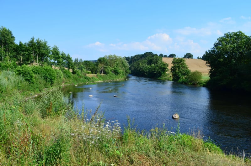 Pont-d'Ouilly: vrij rondlopen in het hart van Zwitsers Normandië - Pont-d'Ouilly