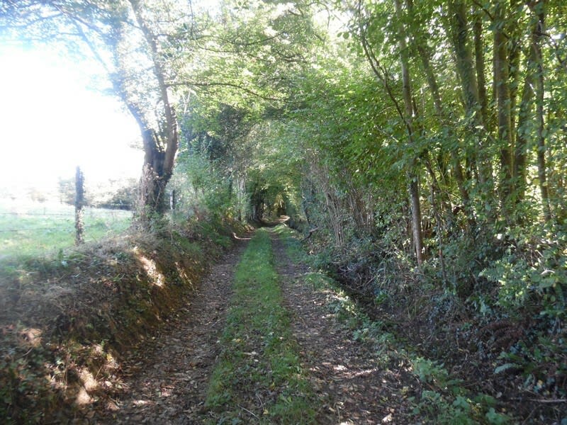 Cheffreville-Tonnencourt et douceurs dans un cadre enchanteur - Livarot-Pays-d'Auge (Cheffreville-Tonnencourt)