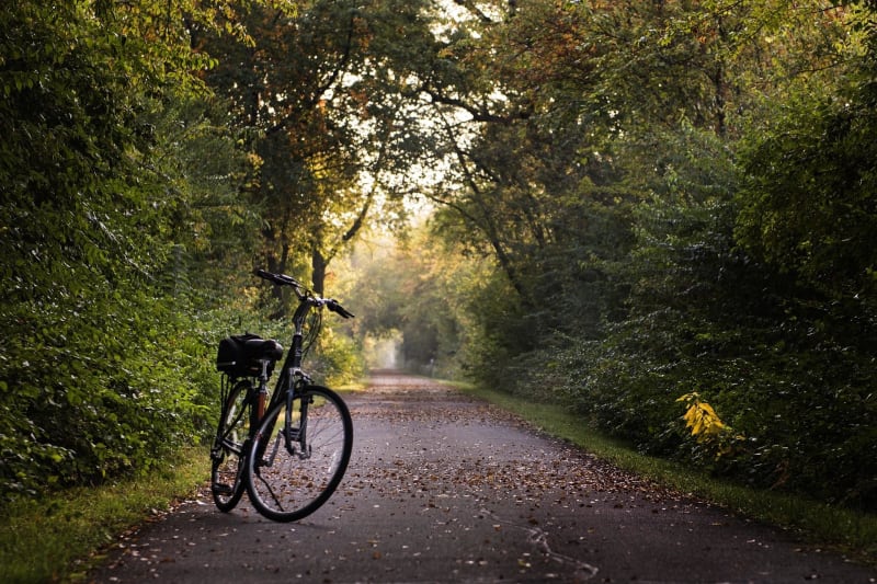 À vélo en forêt de Ferrières - Le Plessis-Trévise