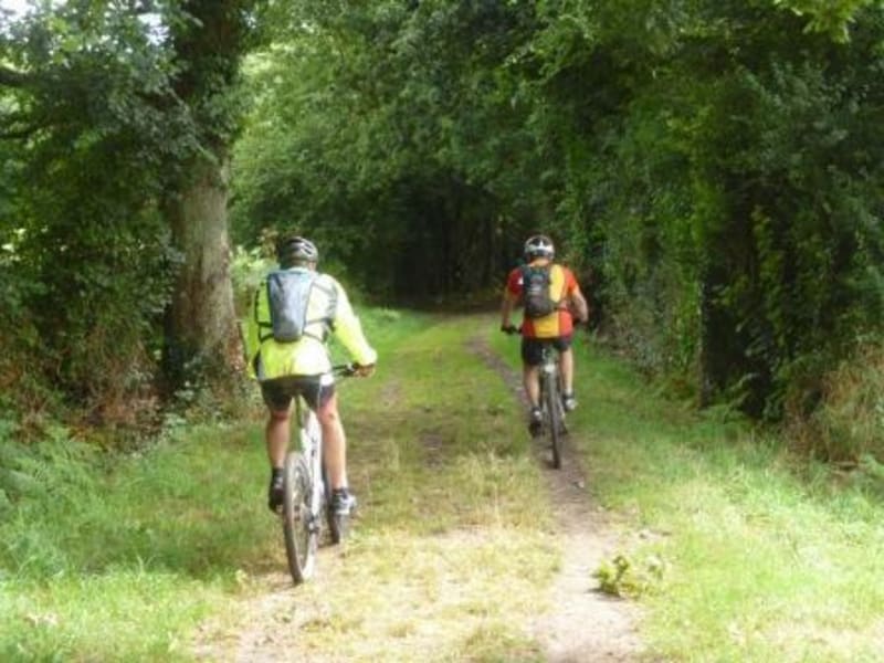 VTT - Les chemins de Gavray - Gavray