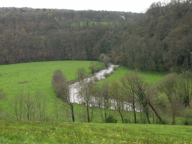 Les méandres de la Vire - Souleuvre en Bocage (Saint-Martin-Don)