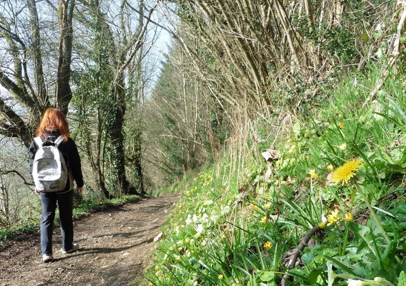 La boucle Mallouine - Bures-les-Monts