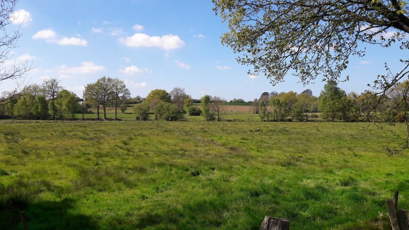 Micro-aventure à Truttemer-le-Grand et nature complice - Vire Normandie (Truttemer-le-Grand)