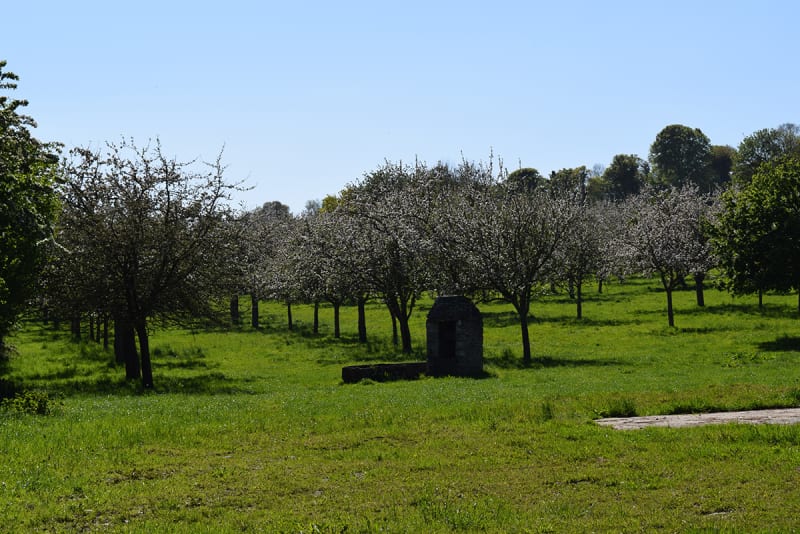 Livry et gambader en silence dans une nature complice - Caumont-sur-Aure (Livry)