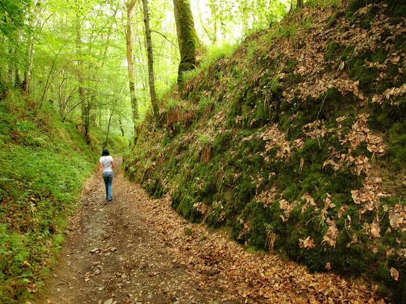 Mutrécy et s'abandonner dans une nature complice - Mutrécy