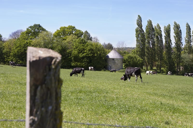 La boucle du Theil-Bocage - Valdallière (Le Theil-Bocage)