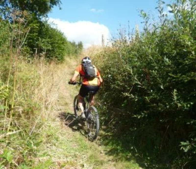 Circuit de l'Obélisque à VTT et ambiance champêtre - Nouainville