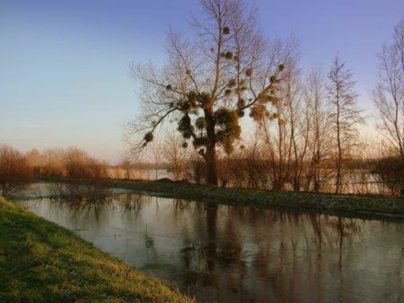 A VTT entre landes et marais depuis Gorges - Gorges