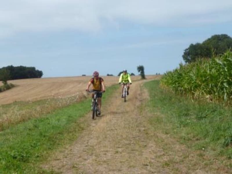 Landes et bois de Lessay à VTT - Lessay