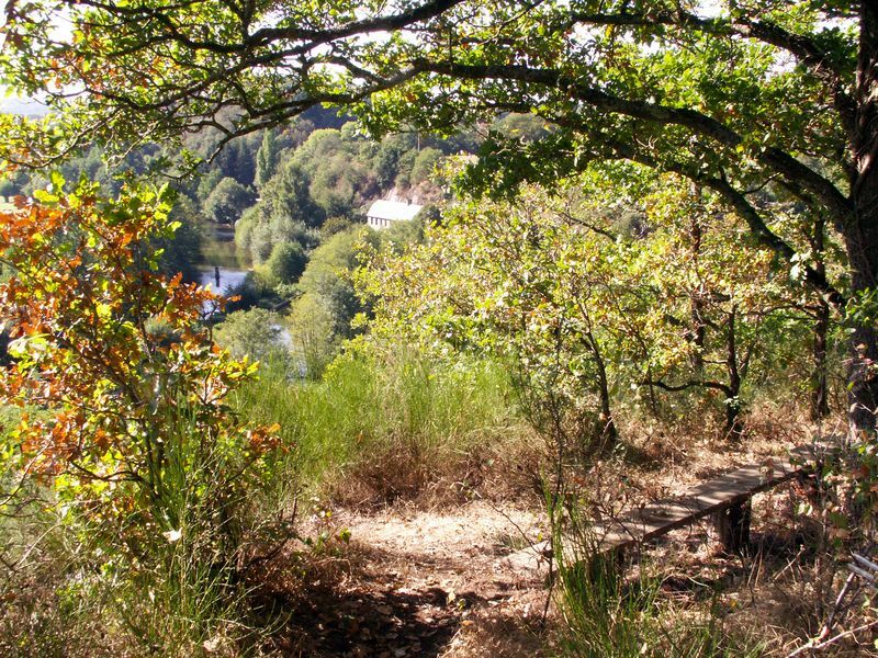 Pont-d'Ouilly : par monts et parcours "top" en Suisse normande - Pont-d'Ouilly