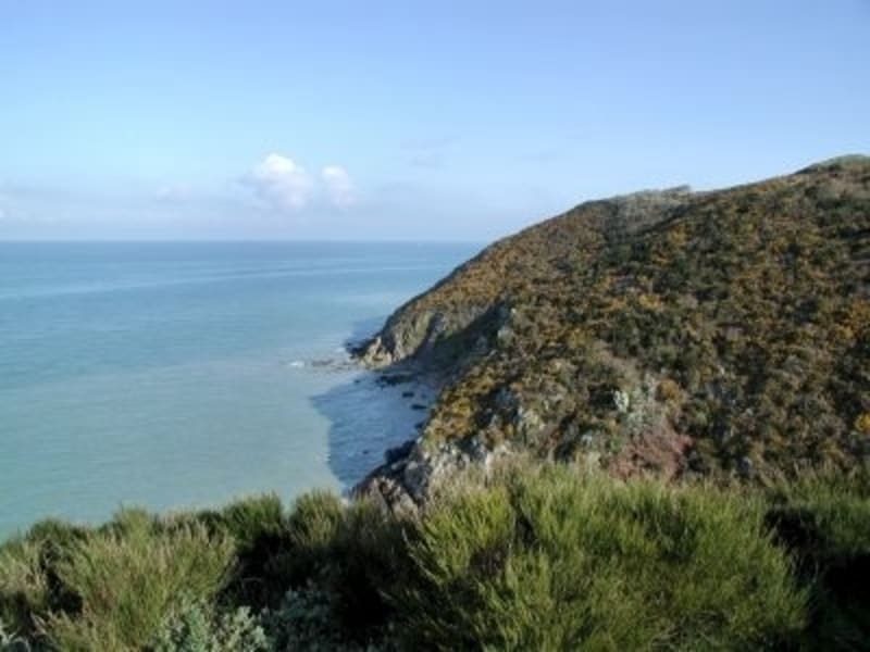 Promenade dans la vallée du Lude - Carolles