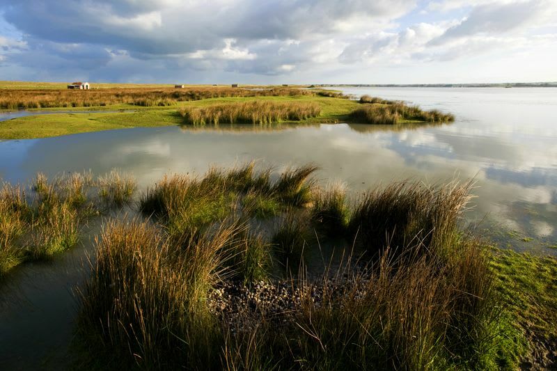 Le Cotentin dans toute sa splendeur par un bout du GR® 223 - Hauteville-sur-Mer