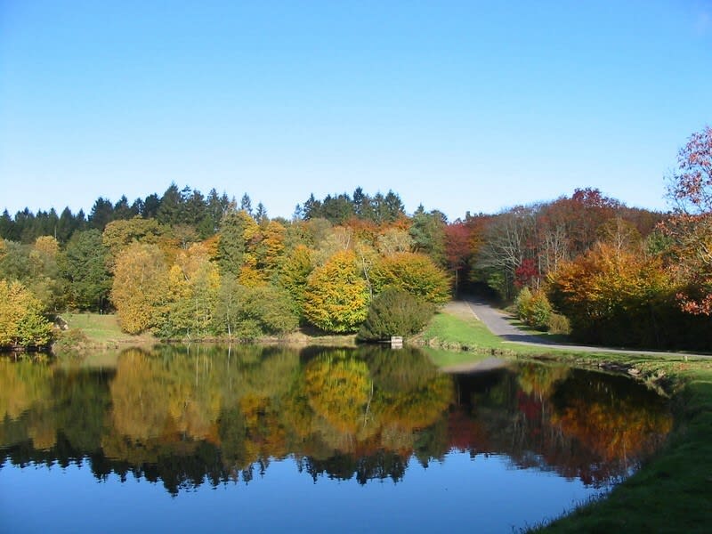 Les étangs du vieux château - Saint Sever Calvados