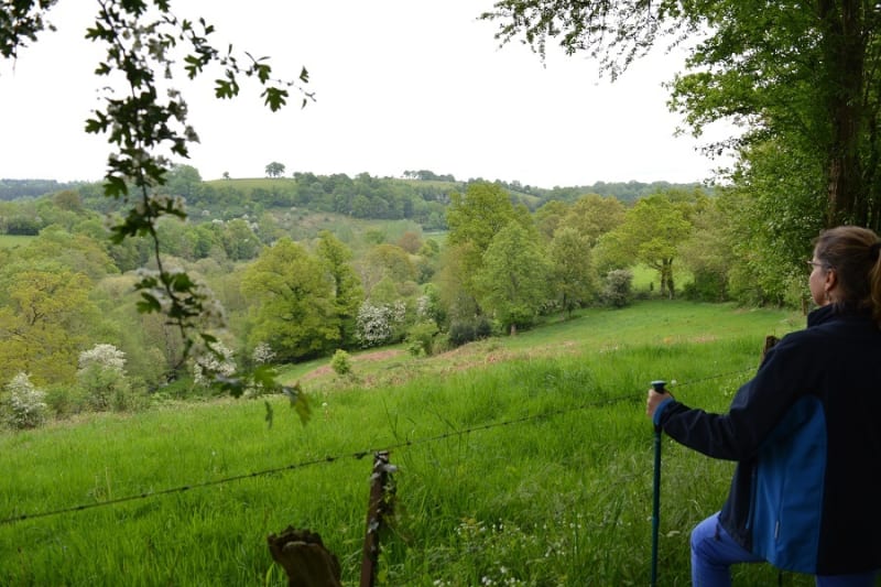 Se mettre au vert à Saint-Vigor-des-Mézerets et s'évader - Terres de Druance (Saint-Vigor-des-Mézerets)