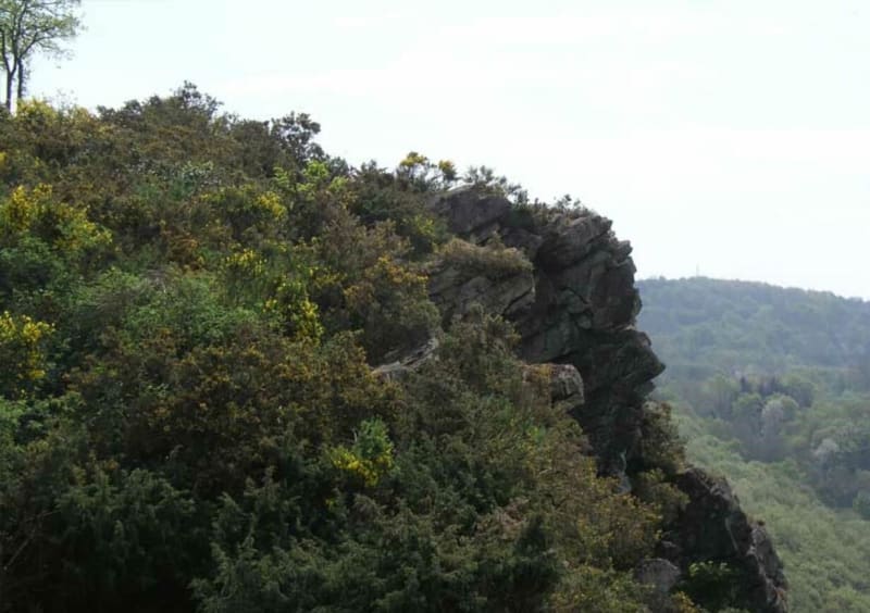 Randonnée Botanique aux Roches d'Oëtre - Saint-Philbert-sur-Orne