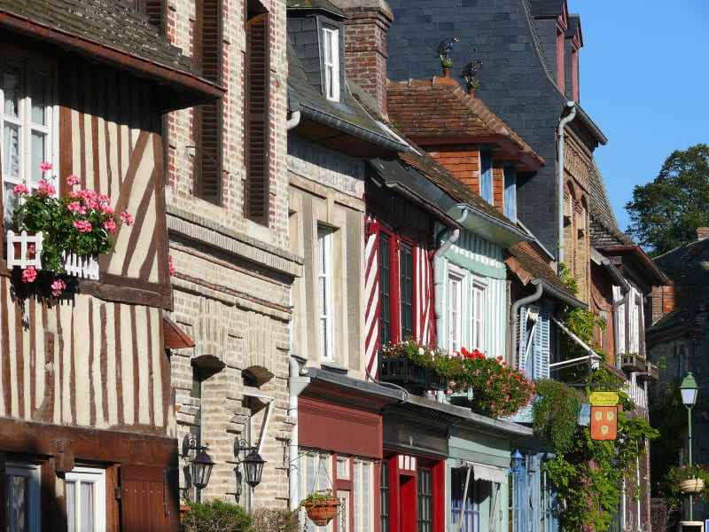 Au vert sur le chemin des Buttes en Terre d'Auge - Beaumont-en-Auge