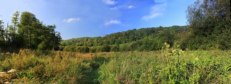 Véritable parenthèse de nature dans les Prairies de Campigny - Canapville