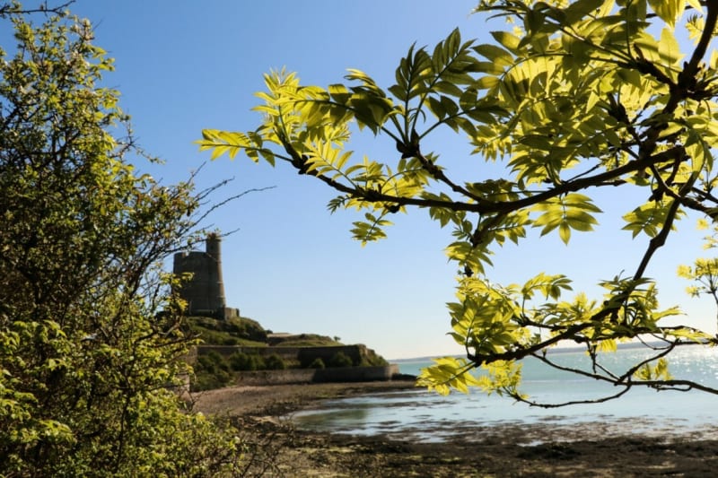 Vélo - Le Vast <> Saint-Vaast-La-Hougue - Le Vaast