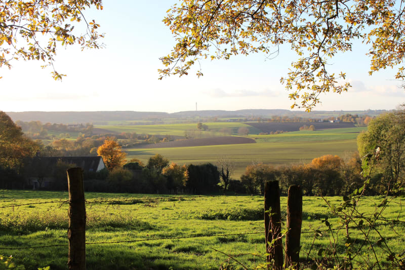 Collines du Perche, étape 6 : Mortagne-au-Perche à La Perrière - Mortagne-au-Perche