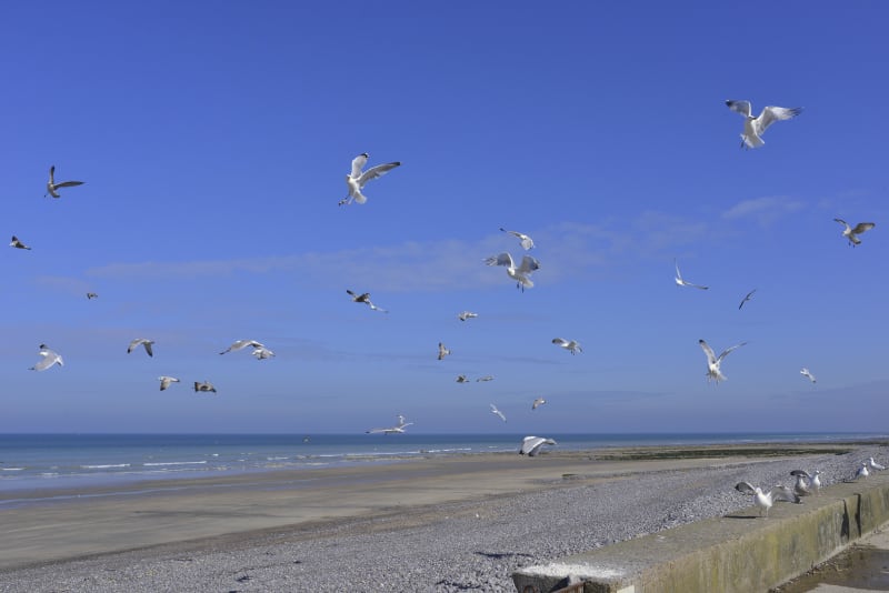 La balade de Quiberville et de la Côte d'Albâtre - Quiberville