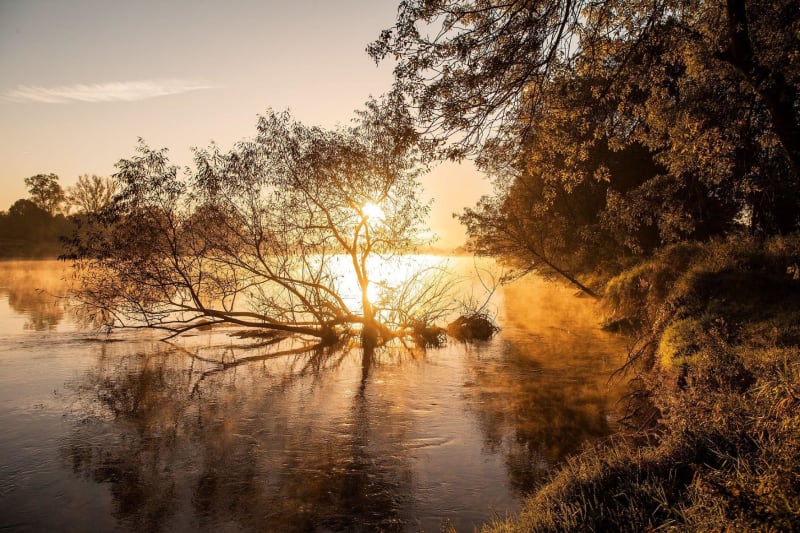 Entre terre et Seine, à Norville - Norville