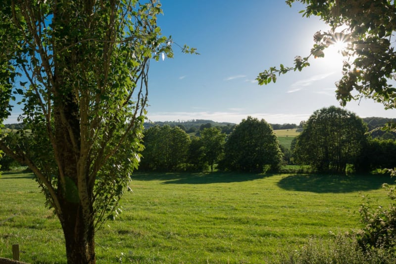 Des Celtes à la forêt de Bellême, à VTT - Belforêt-en-Perche (Le Gué-de-la-Chaîne)