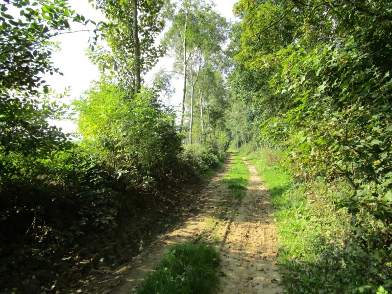 Petit tour d'Auzebosc et mosaïque de verdure - Auzebosc