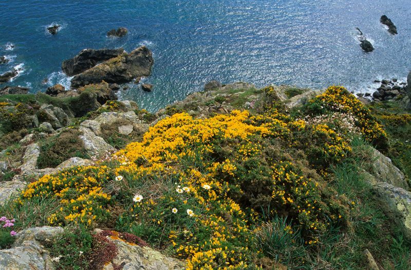 GR 223, du Nez des Voidries à Biville - Jobourg