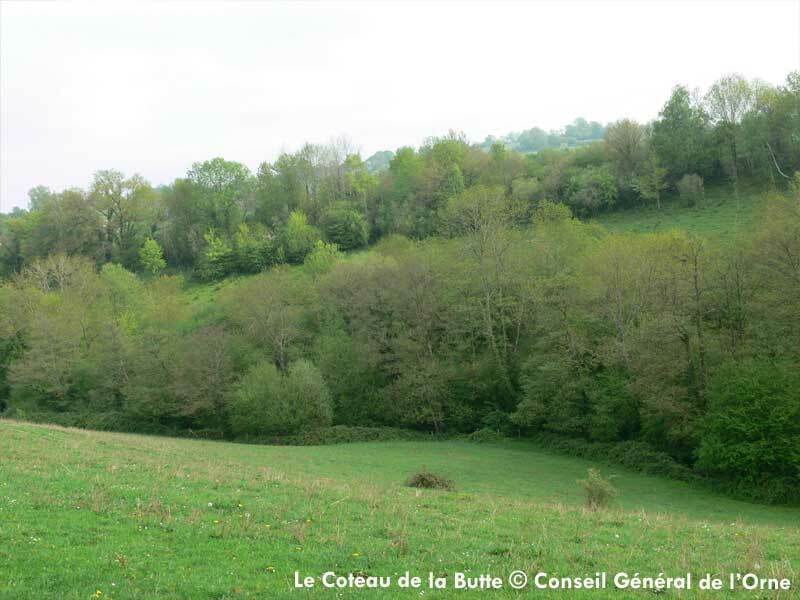 Doux parfum de Méditerranée sur le Coteau de la Butte - Gouffern-en-Auge