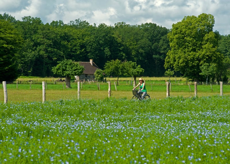 Itinéraire vélo de Lisieux à Livarot - Lisieux