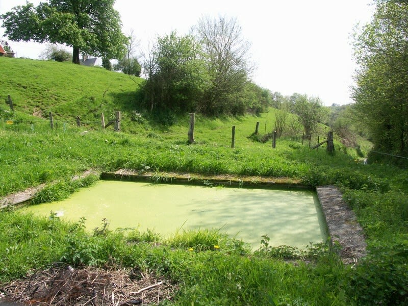 Le circuit des lavoirs et des moulins de Souleuvre - Souleuvre-en-Bocage