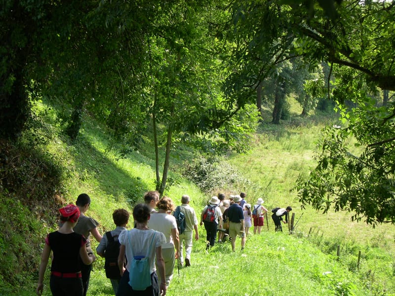 Bois de Pantou et histoire de Saint-Pierre-du-Bû - Saint-Pierre-du-Bû