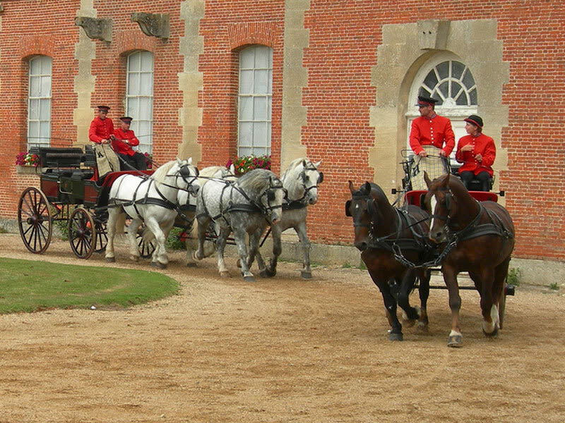 Randonnée du Haras national du Pin - Le-Pin-au-Haras