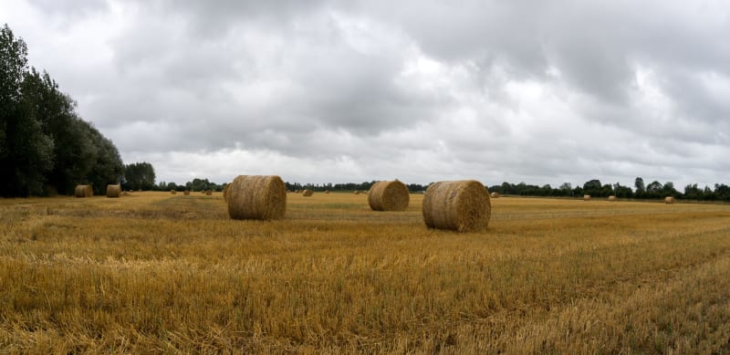 Virée pittoresque au cœur de la vallée de la Saâne - Saâne-Saint-Just
