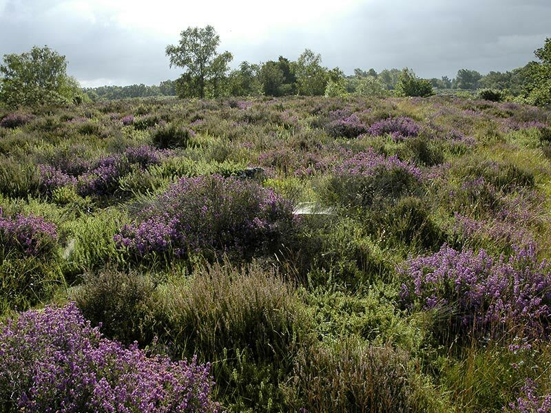 Sentier du Vaudobin et ses légendes géologiques - Bailleul-la-Croix