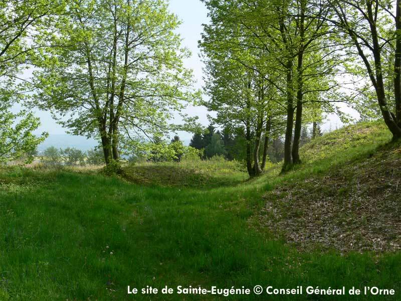 Vestiges médiévaux et fleurs de légendes de Sainte-Eugénie - Silly-en-Gouffern