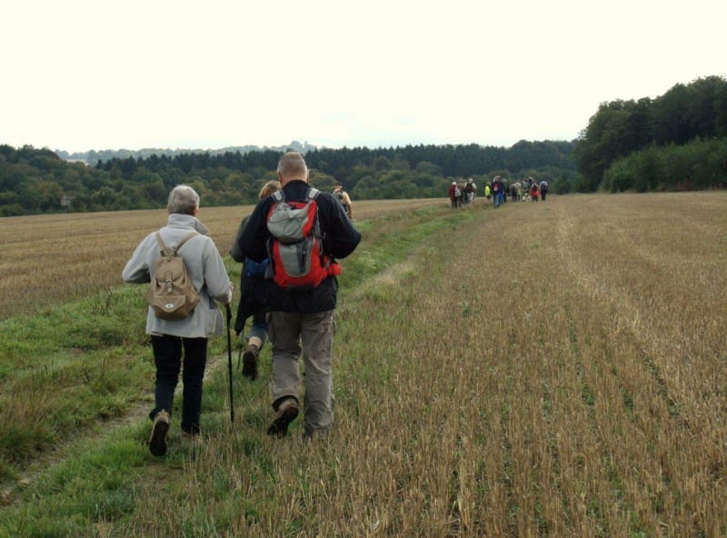 Balade autour de Buchy et rencontres champêtres - Buchy