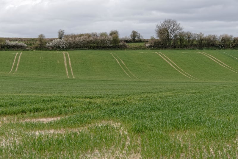 Œuf-en-Ternois et plat dans la joie au cœur du Pas-de-Calais - Œuf-en-Ternois